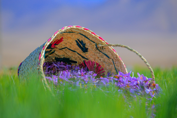 The Golden Spice: Health Benefits of Saffron Extract